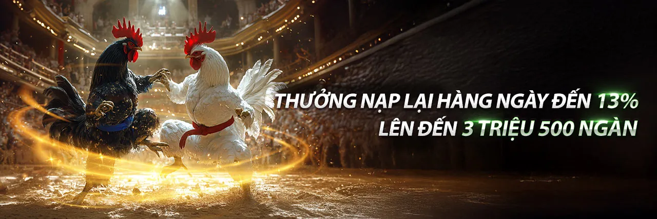 Hỗ trợ khách hàng BSports chuyên nghiệp và an toàn