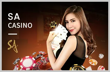 Cá cược Cầu Lông bsports